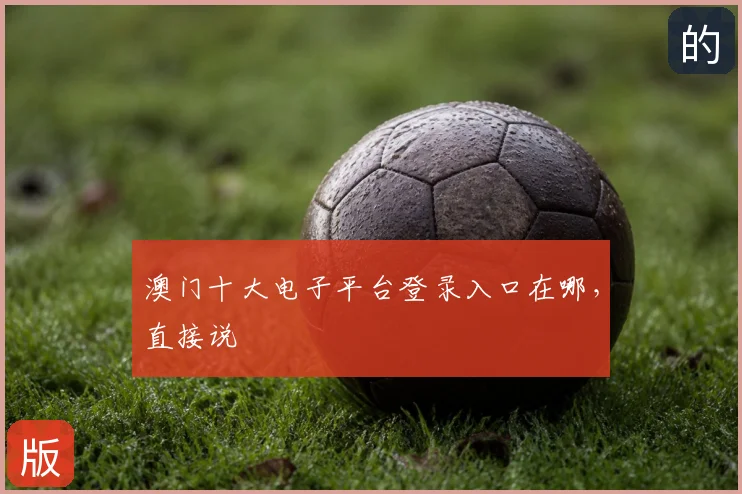 澳门十大电子平台登录入口在哪，直接说